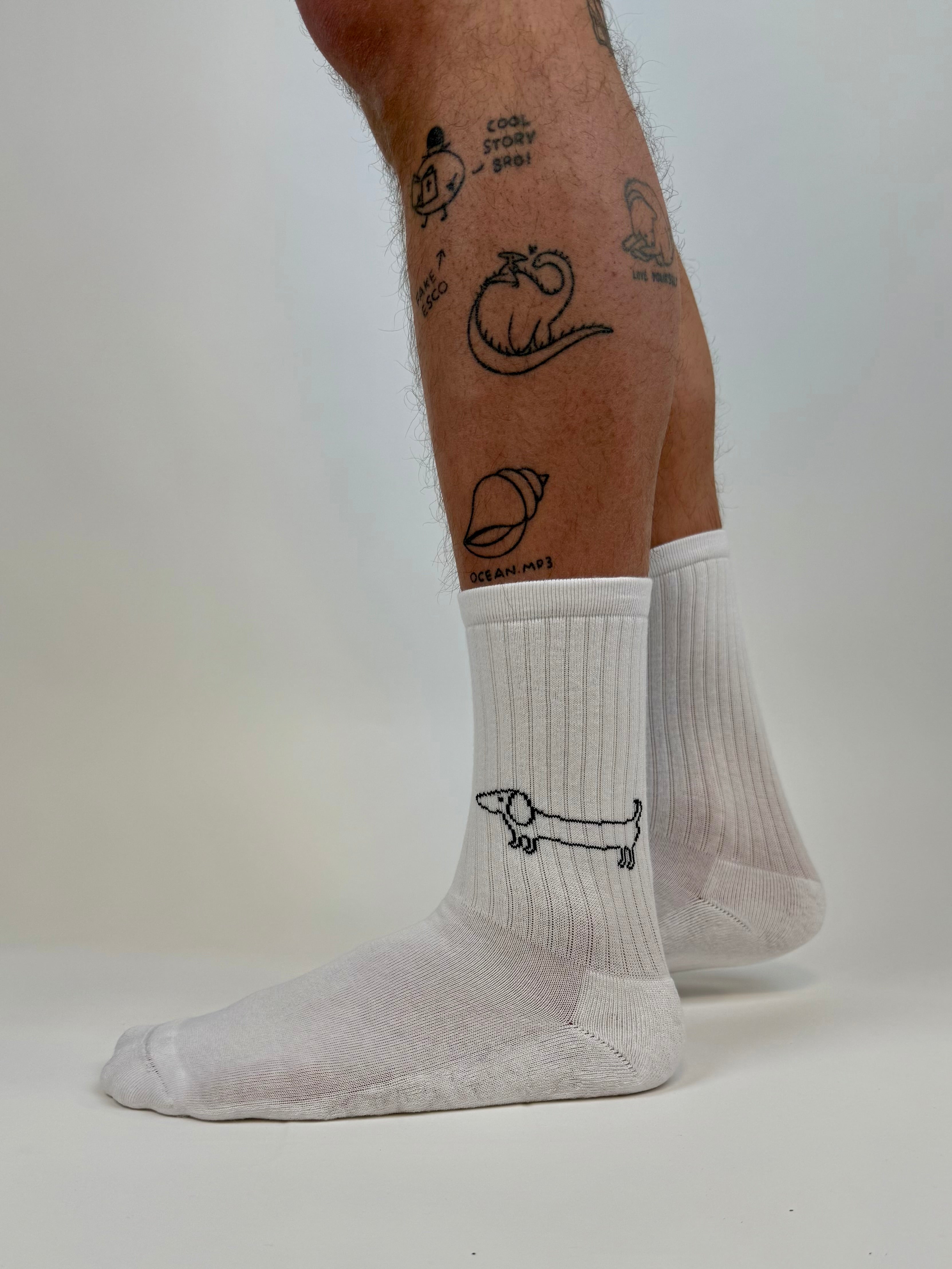 tennis sock sausage dog