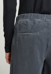 hose protea denim blue