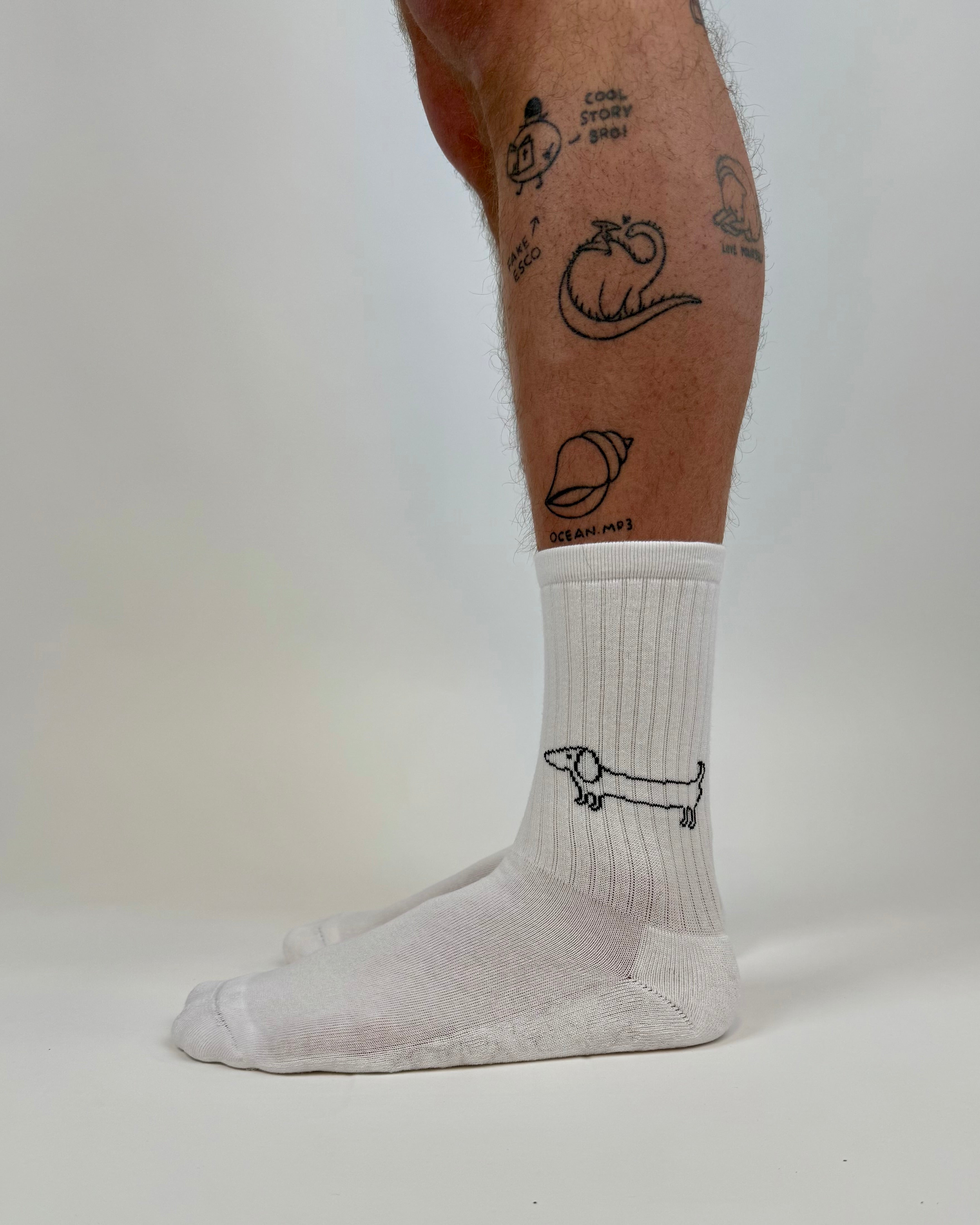 tennis sock sausage dog