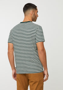 t-shirt delonix stripes dark green