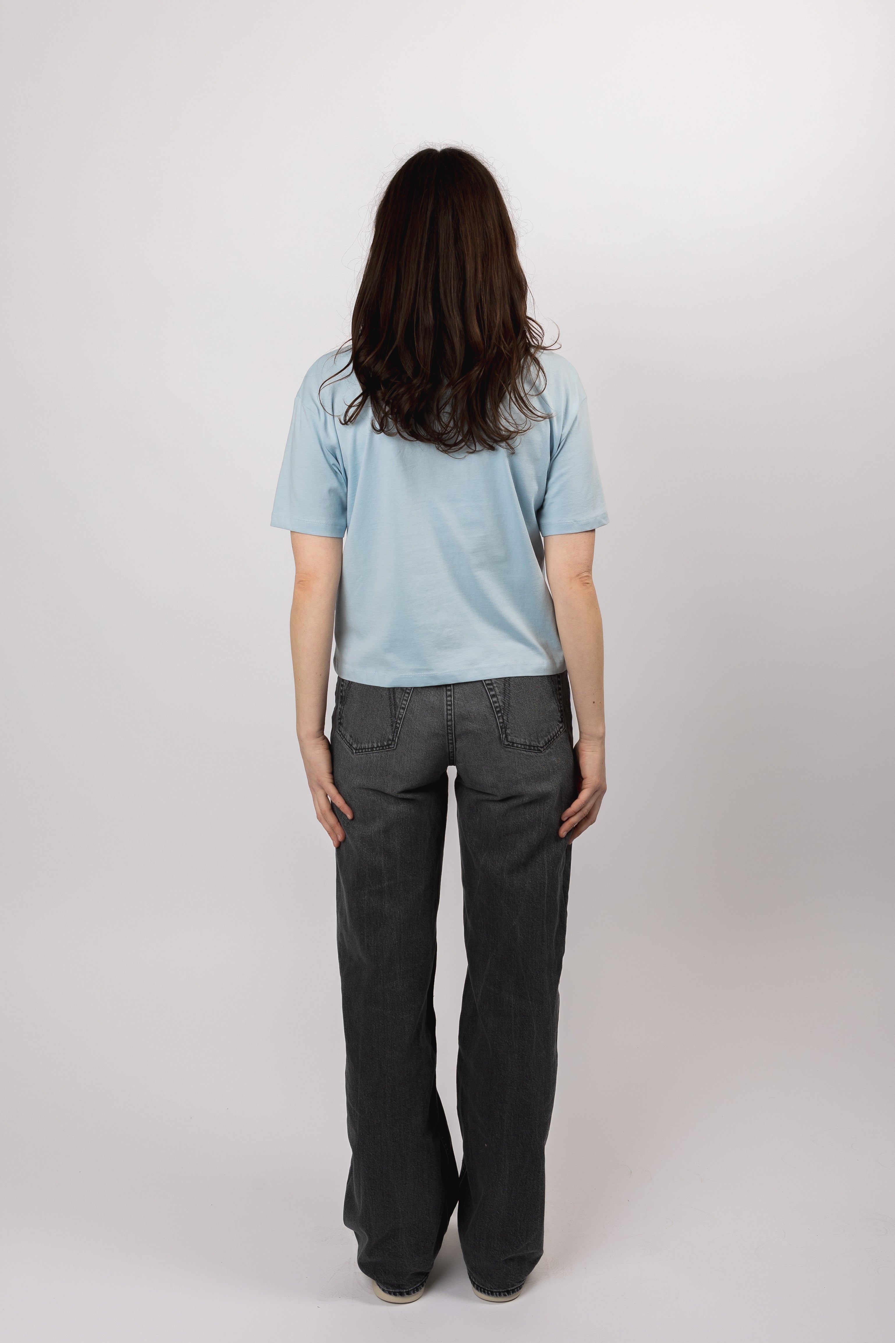 boxy organic crop tee skyride