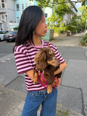 boxy crop tee striped fig-pastel lavender