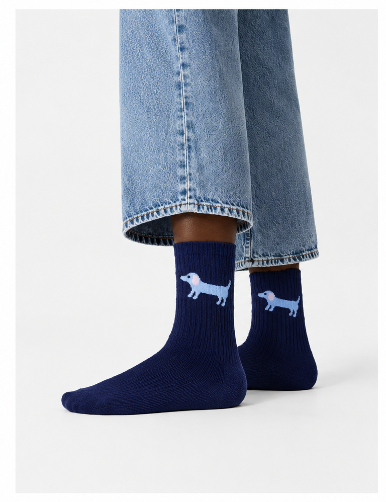 Dackelsocken_stehend_weit.png