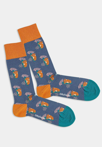 comfy koala socks